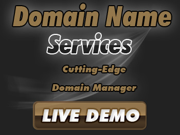 Low-cost domain name service providers
